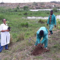 Malawi University of Science and Technology (2020)  JRS Biodiversity